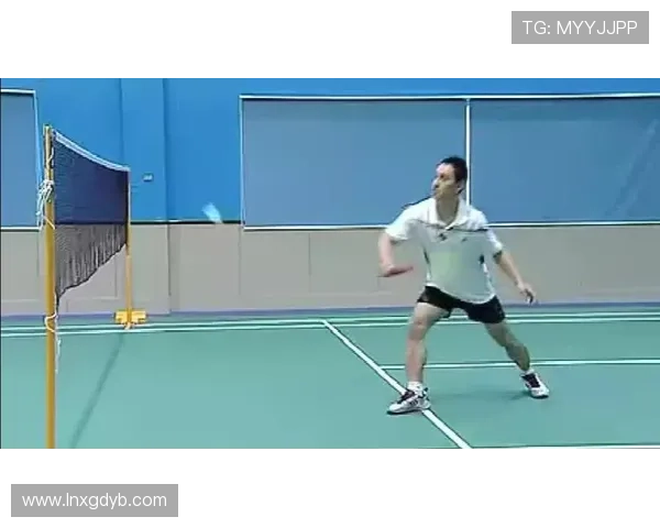 赵丽独家揭秘羽毛球技巧与心得分享助你提升球技的秘密宝典