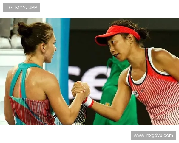 武汉排球队速度表现分析与大满贯赛事的精彩对比